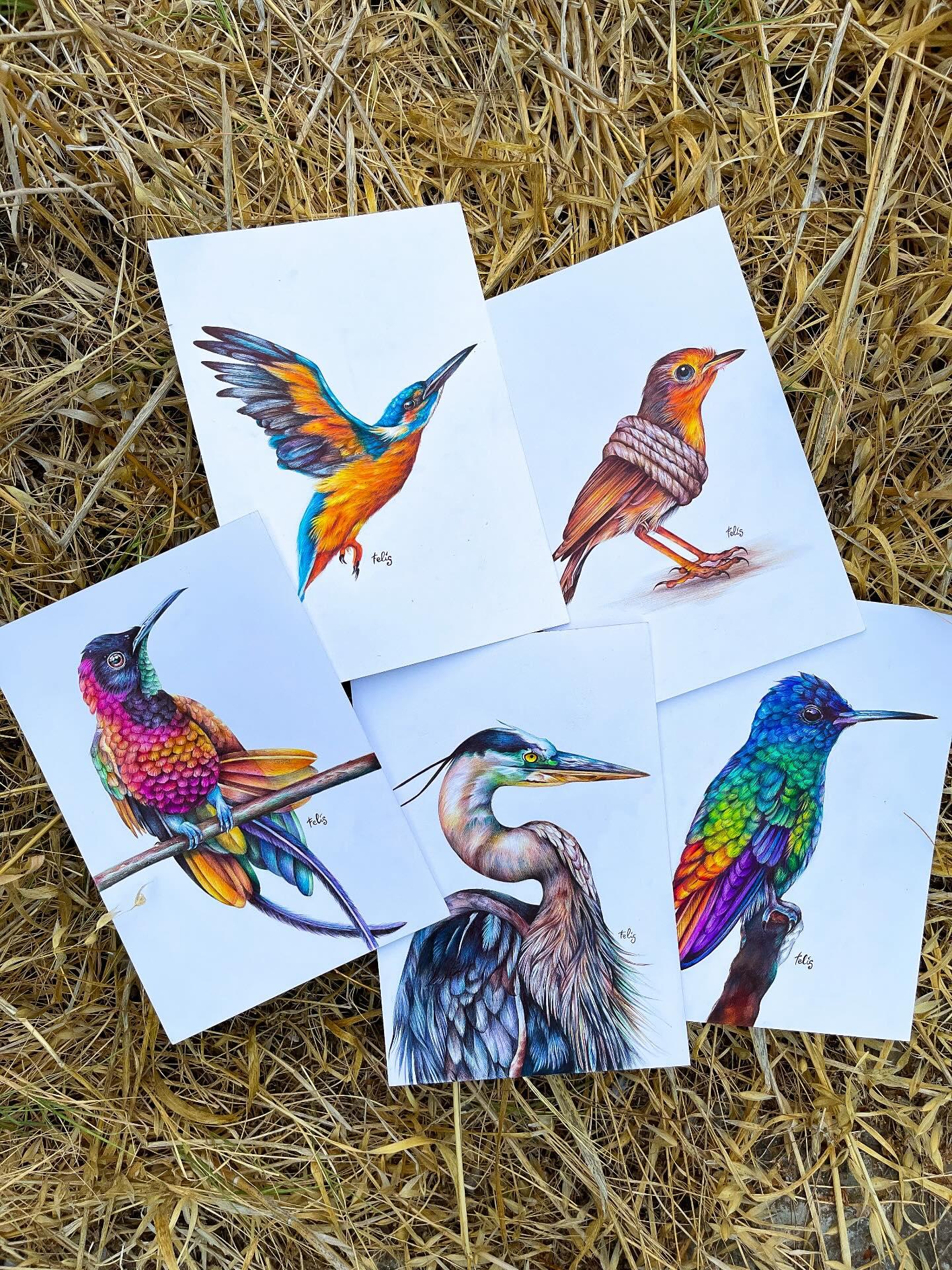 Image of Flight and Freedom. Bird Series by Margarita Felis